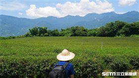 台東。（圖／記者馮珮汶攝）