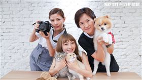 主持人Dash(左)與來賓米娜(中)以及寵物攝影師Min 將自己心愛的寵物拍出網美照。
攝影師Min專注的為寵物拍攝。
主持人Dash與寵物攝影師Min鼓勵毛小孩。
主持人Dash發揮攝影師長才拍攝貓皇。