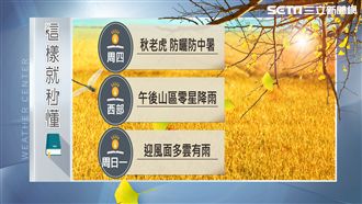 熱帶擾動發展中！秋老虎發威熱到周五