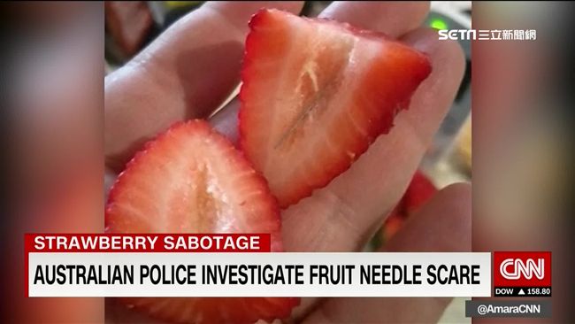 澳洲草莓藏針引恐荒　農場自備探測器