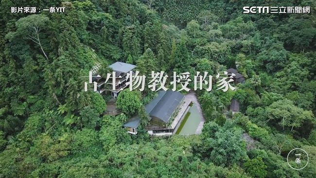 珍貴寶藏！　他買下12000㎡山頭