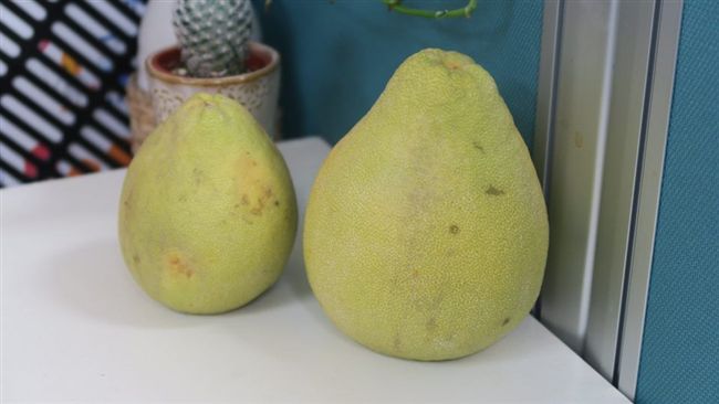 你在吃這些藥物？中秋節吃柚子要當心
