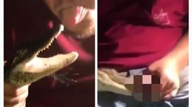 ▲男子拿子孫袋誘惑小鱷魚。（圖／翻攝自Youtube）