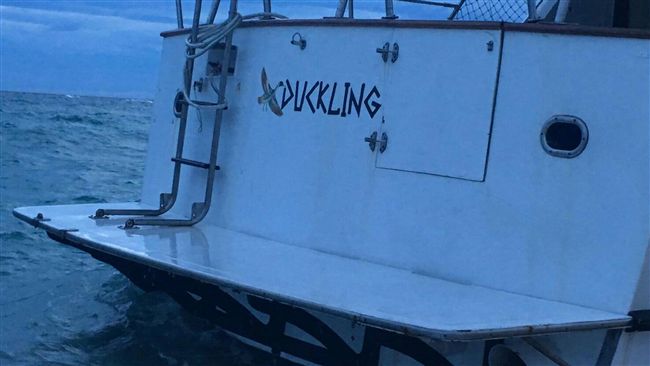 澎湖海洋志工阻潛水客打魚　遭打受傷