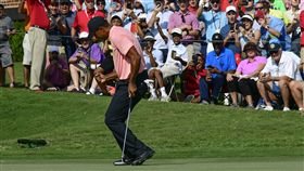 伍茲在第18洞抓下老鷹躍居領先。（圖／美聯社／達志影像）