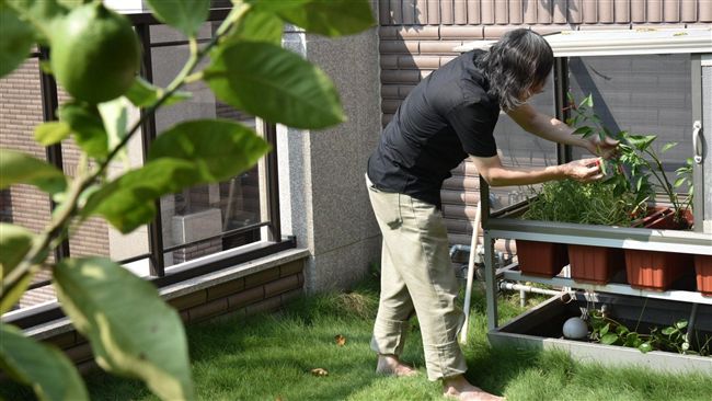 空汙嚴重　碳揭露電梯別墅搶市