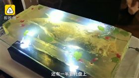 大陸,西郊5號,天價,帳單,孫兆國(圖/翻攝自梨視頻)