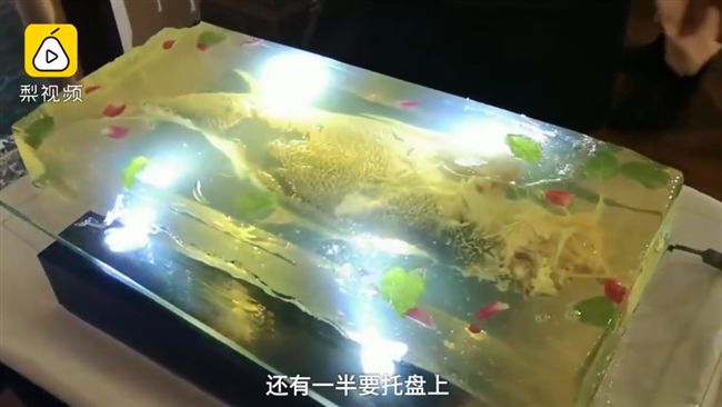 杜拜王子套餐曝光！天價美食超驚人