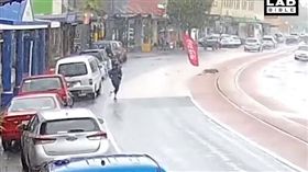 汪汪等主人帶著廣告旗「趴趴造」　網友：汪代言可口可樂！