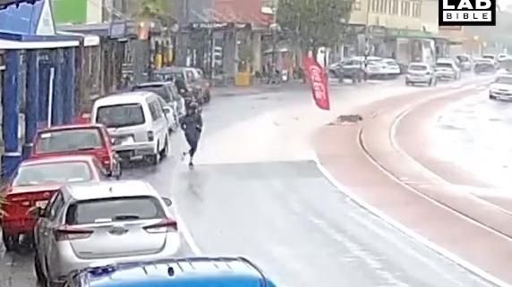 汪綁店外等主人　突掙脫帶廣告旗狂奔
