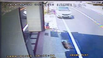惡劣駕駛蓄意輾過　熟睡老狗無辜斷腿