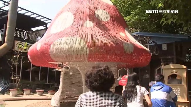 紙箱王浴火重生　小火車免費搭吸人潮