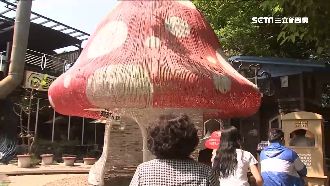 紙箱王浴火重生　小火車免費搭吸人潮