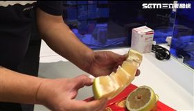 剝柚子,柚子,吃柚子（圖／資料照）