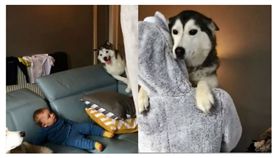 撒嬌汪窩爸爸懷裡「甜蜜抱抱」　小嬰兒一旁看傻眼...