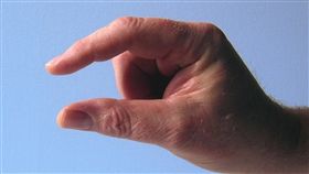 下體,小鳥,丈量,量尺,App,iOS12,系統,蘋果,升級, 圖／翻攝自Pixabay　https://goo.gl/ETXcxM