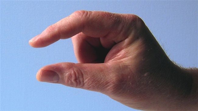 全球瘋量尺軟體！量貓量狗「量神雕」