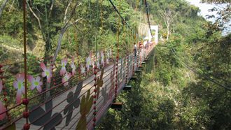 琉璃光之橋虎頭蜂螫　4遊客不適送醫