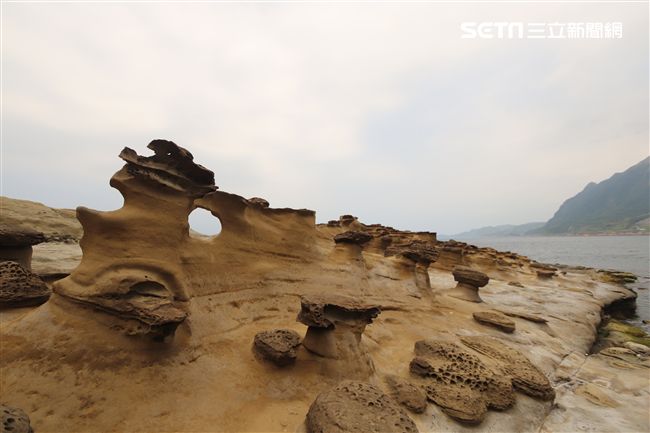 別再只拍象鼻岩 酋長岩深澳漁港找私房美景 旅遊頻道 三立新聞網setn Com