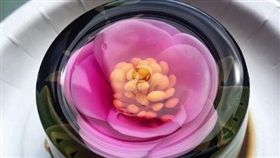 兼任民進黨主席的總統蔡英文23日中午在宜蘭與新住民姐妹一同餐敘。新住民所做的3D果凍花。（圖／民進黨提供）