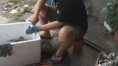 媽媽就是狂！6人烤肉竟爆買25斤蚵