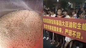 大陸,幼兒園,虐童,食品安全,食安,發霉,發酸,食物,幼稚園  圖／翻攝自微博　