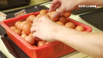 蛋價飆3年新高　價格恐一路貴到年底