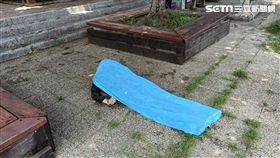 高雄病男「揹20kg石投河」溺斃／翻攝畫面