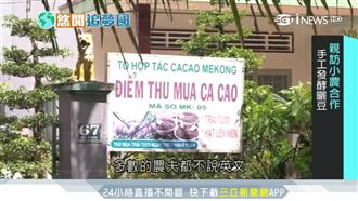 越南精品巧克力　法人復耕可可田