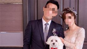 苗栗,車禍,連環撞,陸軍中士,新婚（圖／翻攝自張桓豪臉書）