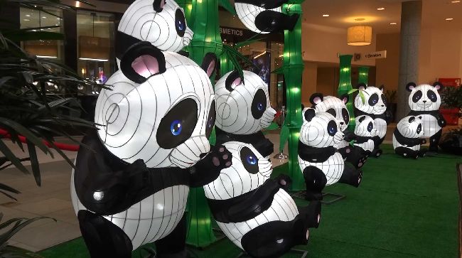 台北燈節提燈是否再發　將由投票決定