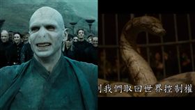怪獸與葛林戴華德的罪行 佛地魔／翻攝自華納兄弟台灣粉絲俱樂部YouTube 推特