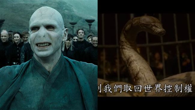 金秀賢是佛地魔寵物！JK羅琳認證了