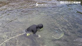 貢寮,九孔,卯澳漁港