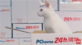 電商,PChome網路家庭,PChome24h購物,蝦皮,創宇,熊仔