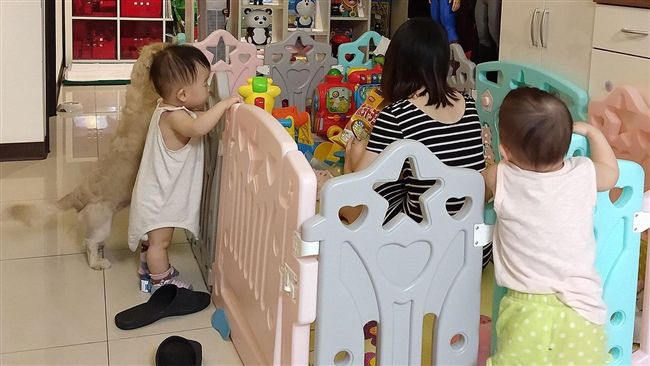 她躲柵欄嗑零食⋯2兒「圍觀」網笑慘
