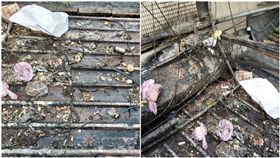 女網友表示樓上鄰居亂丟廚餘，導致住處環境髒亂。（圖／翻攝自爆料公社）