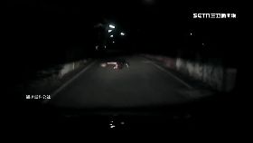 最瞎假車禍0800(DL)