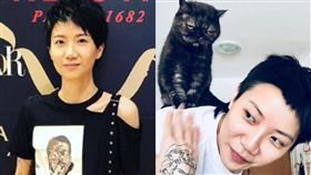  盧凱彤,自殺,貓咪,何韻詩/翻攝自盧凱彤IG