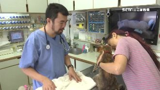 中興大學徵佛系老師　校方：深感抱歉