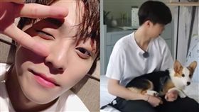 陳立農,Hi室友,狗/翻攝自愛奇藝