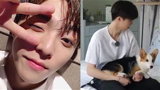 才說別尿在這！下秒狗蹲下去⋯他崩潰