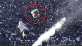 吉祥物表演突斷頭　全場孩童尖叫爆哭 
楊百翰大學,吉祥物,山獅科斯莫 
翻攝自推特