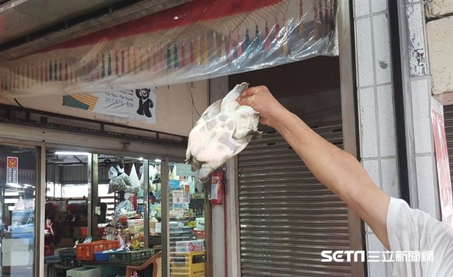 北市抽驗甲魚、黃魚　驚見違添殺菌劑