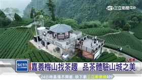 嘉義梅山找茶趣  品茶體驗山城之美(業配)