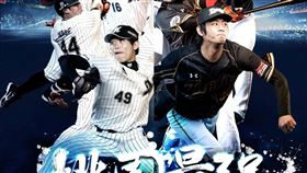 桃園最強Power Series台日挑戰賽。（圖／桃猿提供）