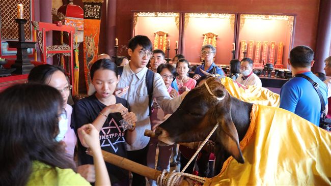 台南孔廟祭孔　遊客搶拔智慧毛