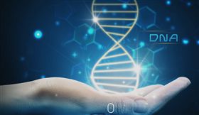 特管辦法9月上路　瑪旺纖維母細胞卡位細胞療法