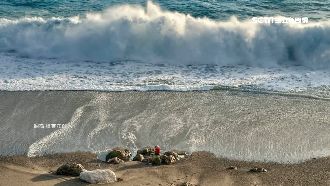 颱風近！網美坐七星潭岩拍照遭酸爆