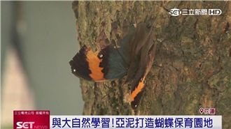 與大自然學習！亞泥打造蝴蝶保育園地